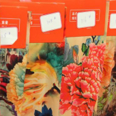 健康绒 全涤针织印花服装面料