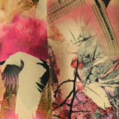 健康绒 全涤针织印花服装面料