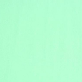 锦棉纬弹梭织染色服装面料