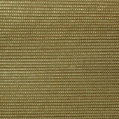 金光绒 涤棉针织服装染色面料