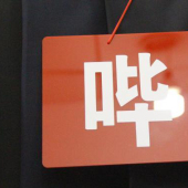 哔叽全涤针织染色服装面料