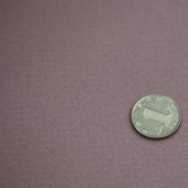 龙凤呢 针织染色服装面料