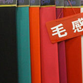 毛感涤氨梭织服装染色布