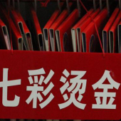 全涤梭织染色七彩烫金服装面料