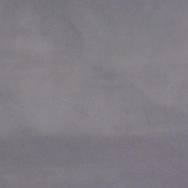 310T涤塔夫 全涤梭织染色服装面料