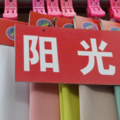 阳光珠面料 全涤梭织染色服装面料 现货