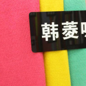 韩菱呢 毛涤针织染色女装面料