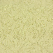 全涤针织染色服装面料