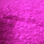 羊圈呢 全涤针织染色服装面料 现货