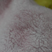 北极绒 全涤针织染色服装面料 现货