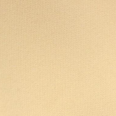 TR梭织四面弹 涤粘混纺染色服装面料