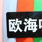毛涤混纺欧海呢针织染色服装面料