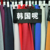 毛涤韩国呢梭织服装面料