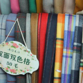 涤毛 双面双色格 梭织印花服装面料
