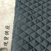 现货高密度春亚纺衍绣80棉羽绒棉服加棉布梭织秋冬女装保暖面料