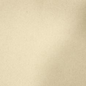 六枚单纬麂皮绒