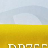 空气层 健康布 高F 63/64 250克 男女春秋面料 运动面