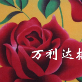 印花摇粒绒