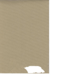 有光长丝三明治网布