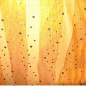 宽条树皮绉冲大中小片面料