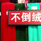 全涤针织不倒绒面料