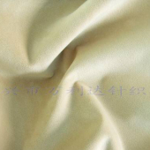 厂家直销低弹100D144F超细单双面摇粒绒拉毛布保暖绒类面料