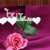 单色单摇素色摇粒绒