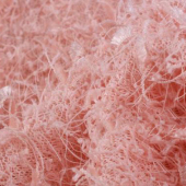 小红旗涤纶面料