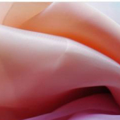 2080#欧根纱珍珠纱韩国纱婚纱礼服面料