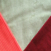 专业灯芯绒面料 服装面料