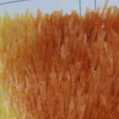 现货热销供应全涤孔雀绒印花面料