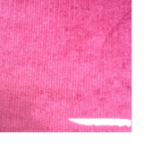 21w全棉纬弹灯芯绒