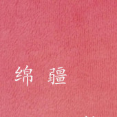 全棉染色不倒绒