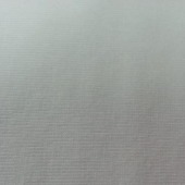 人棉氨纶汗布 32sR+40Dop 白色