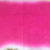 弹力天丝绒印花