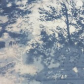 75D*75D雪纺