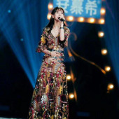 现货网纱绣花 女装连衣裙布