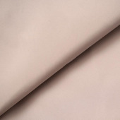 专业厂家直销19春季新款50D半记忆棉衣大衣男女服装面料