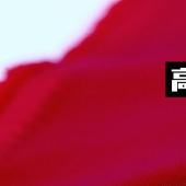 醋酸面料 缎面三醋酸面料 高端晚礼服面料 日本进口布料 缎面