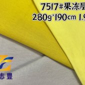 广志丰7517#果冻层280g